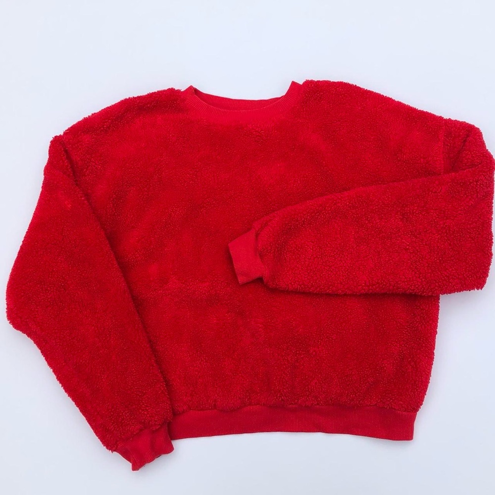 Urban Outfitters BDG Teddy Sherpa Crewneck